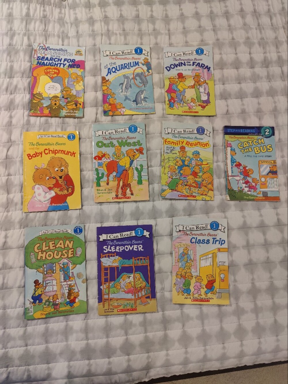 Lot Of 10 Bernstein Bear Kids Books Young Readers Y2K Cottagecore Retro Illustra